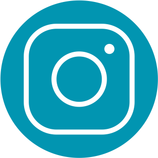Insta Icon